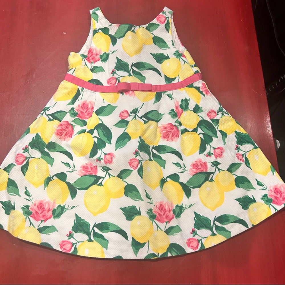 Janie and Jack Lemon and Roses Dress